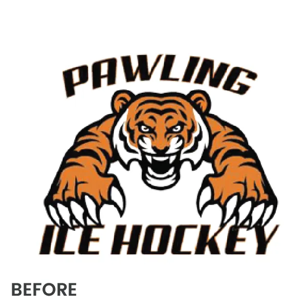 Embroidery Digitizing