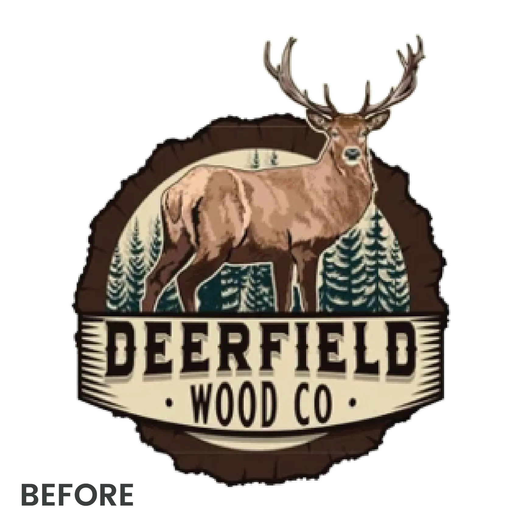 Embroidery Digitizing