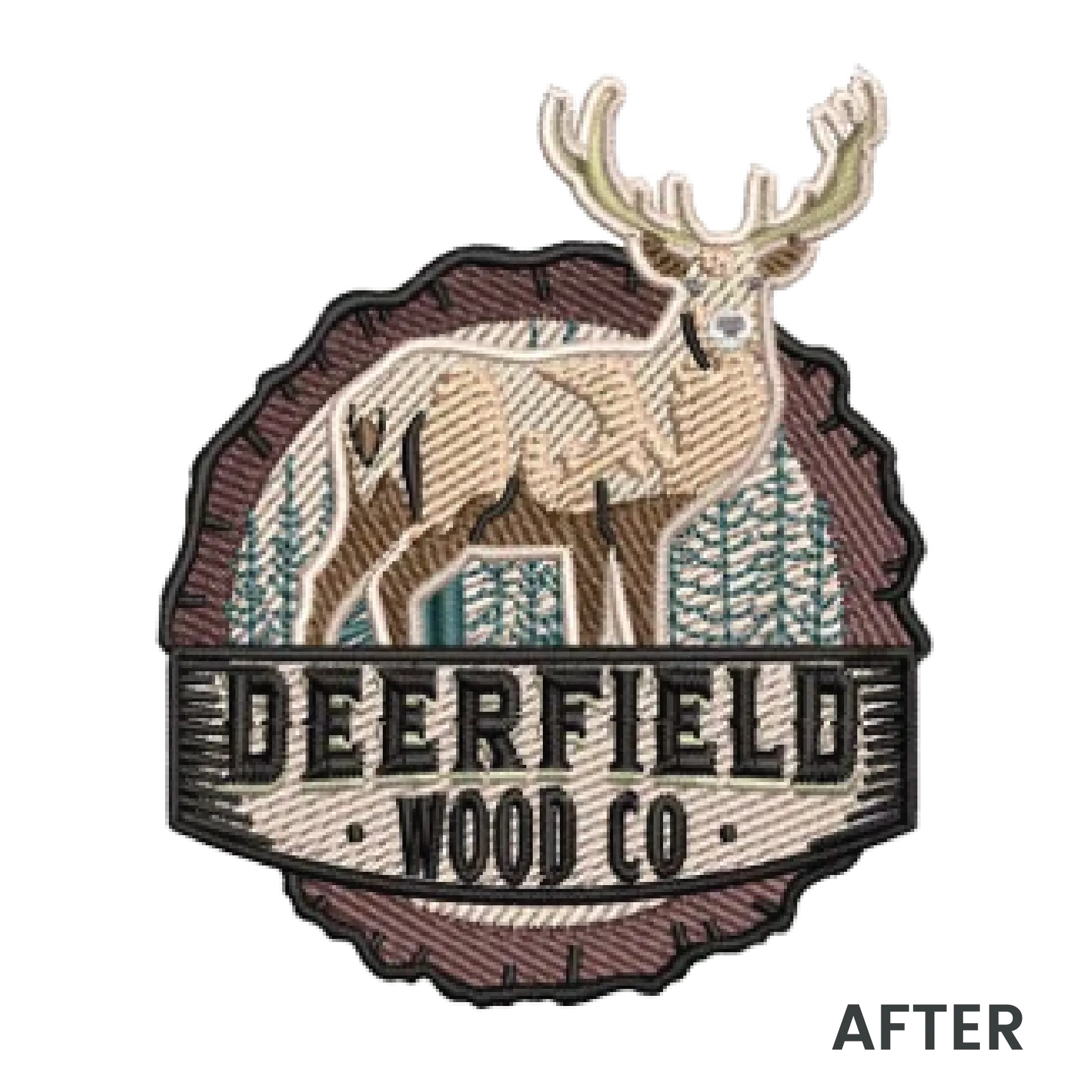 Embroidery Digitizing