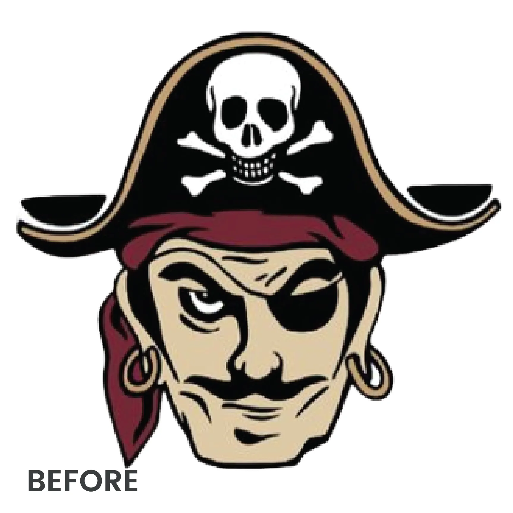 Embroidery Digitizing