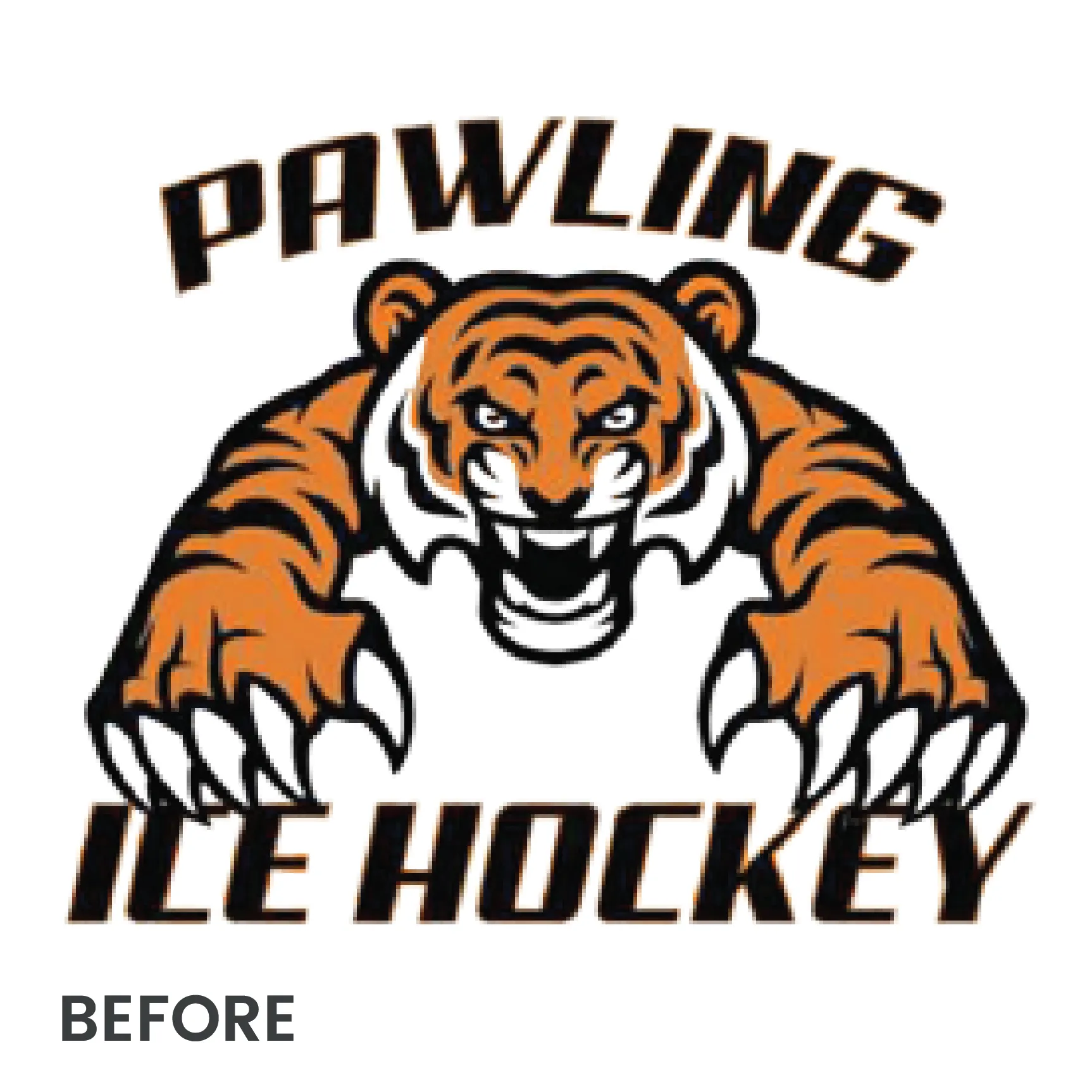 Embroidery Digitizing